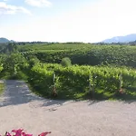 La Casa Vecchia 팜스테이 발도비아데네