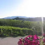 La Casa Vecchia 팜스테이 발도비아데네