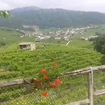 팜스테이 La Casa Vecchia 발도비아데네