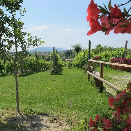 La Casa Vecchia Séjour à la ferme
