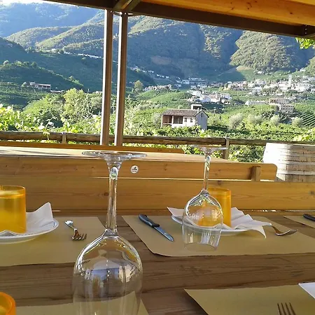 Κατάλυμα σε φάρμα La Casa Vecchia *