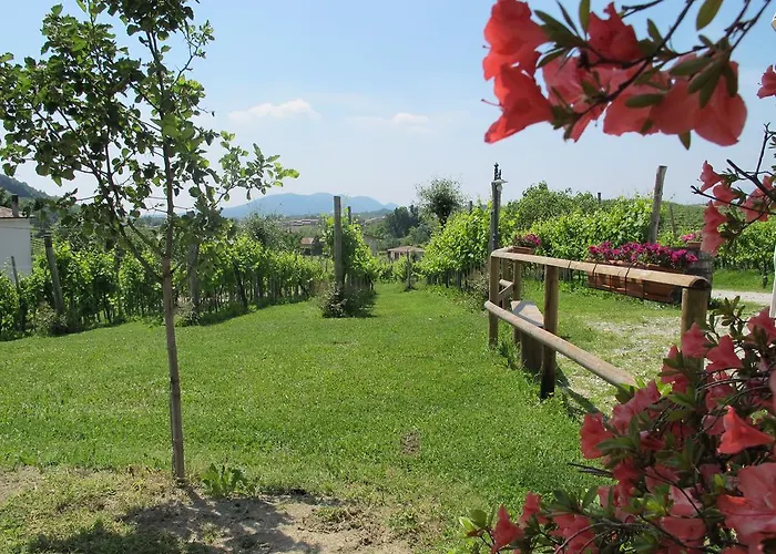 La Casa Vecchia Κατάλυμα σε φάρμα