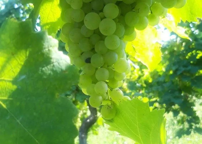 La Casa Vecchia Agroturismo Valdobbiadene