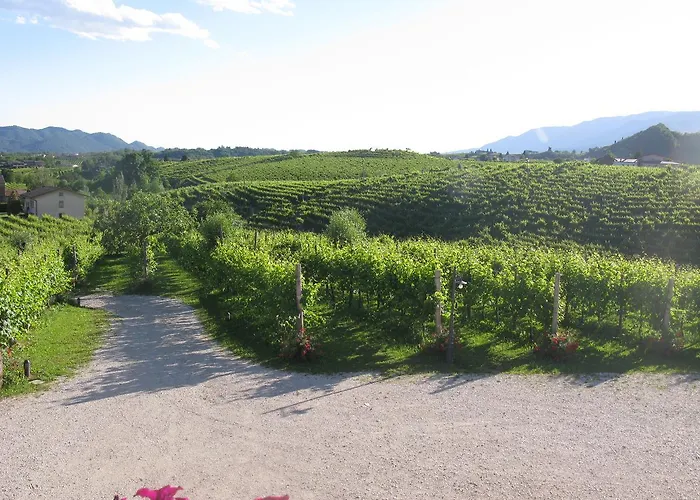 La Casa Vecchia Alloggio per agriturismo Valdobbiadene